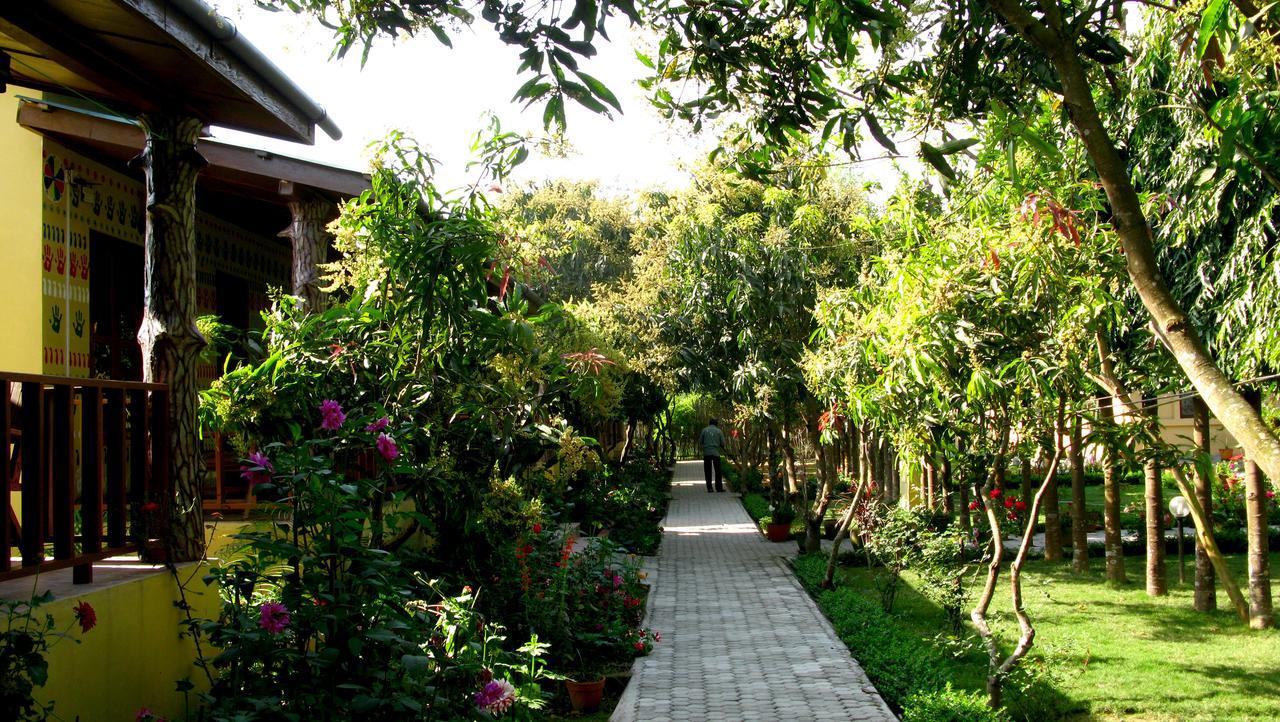 Rhino Land Jungle Lodge Sauraha Zewnętrze zdjęcie