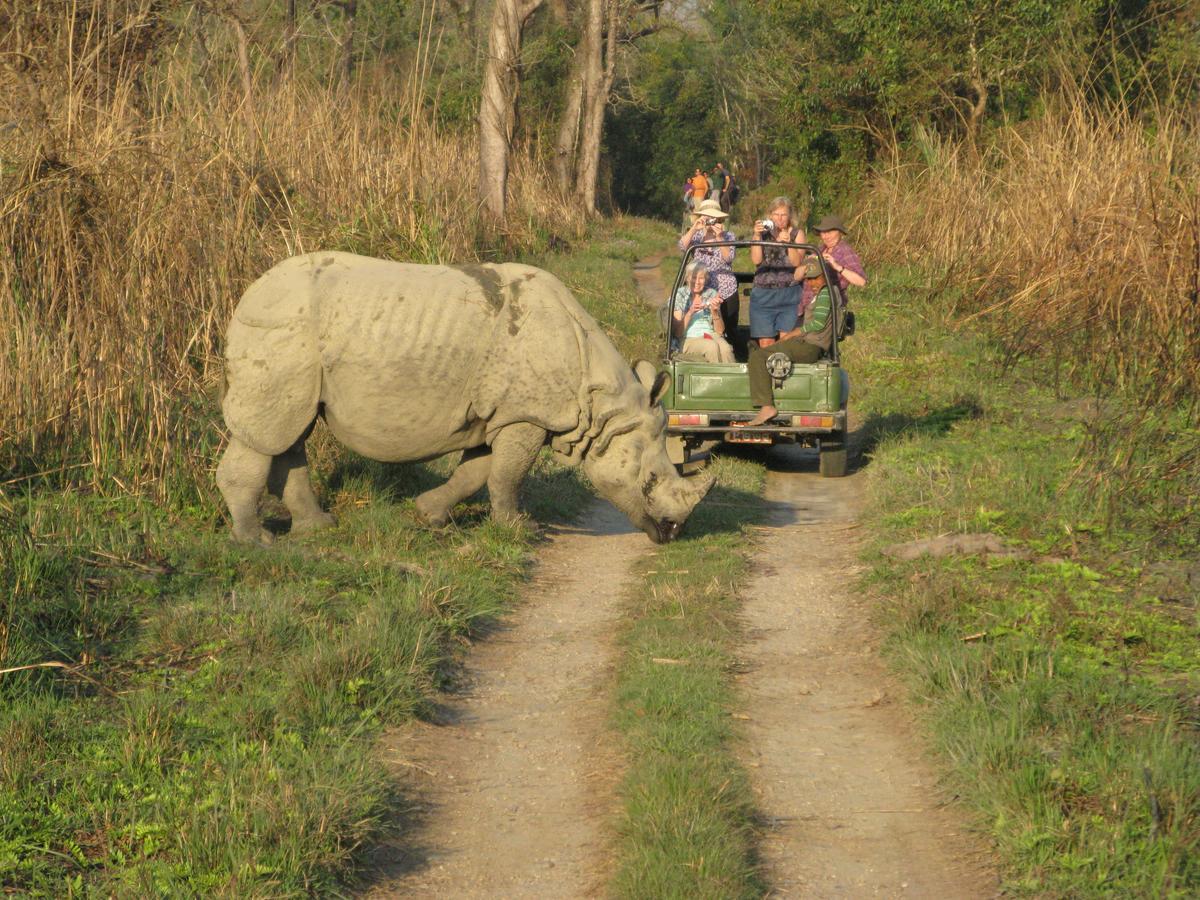 Rhino Land Jungle Lodge Sauraha Zewnętrze zdjęcie