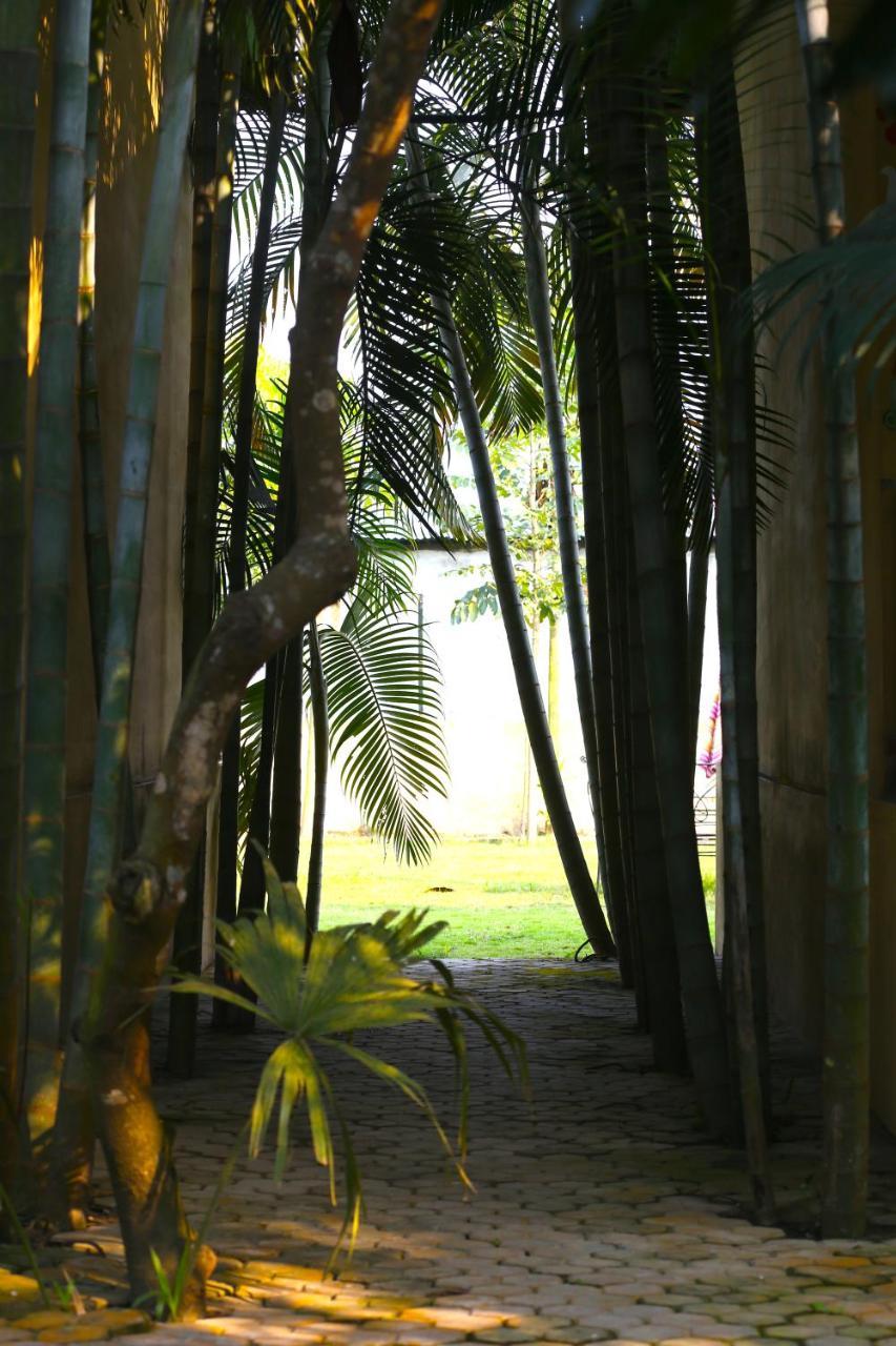 Rhino Land Jungle Lodge Sauraha Zewnętrze zdjęcie